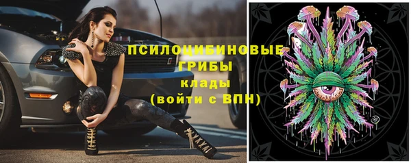 сатива Бронницы