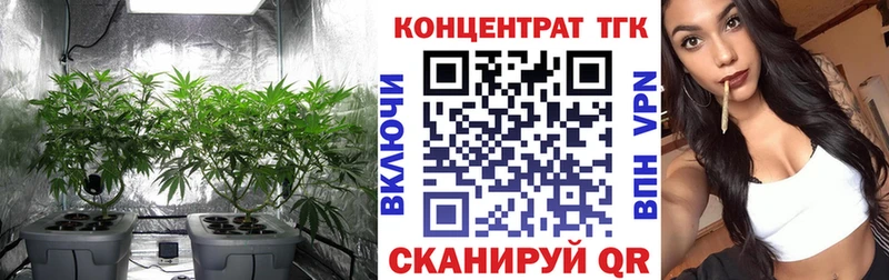 мега ONION  Дальнегорск  Дистиллят ТГК вейп  цены наркотик 