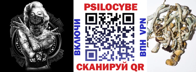 площадка официальный сайт  Дальнегорск  Псилоцибиновые грибы Psilocybine cubensis  купить наркотик 