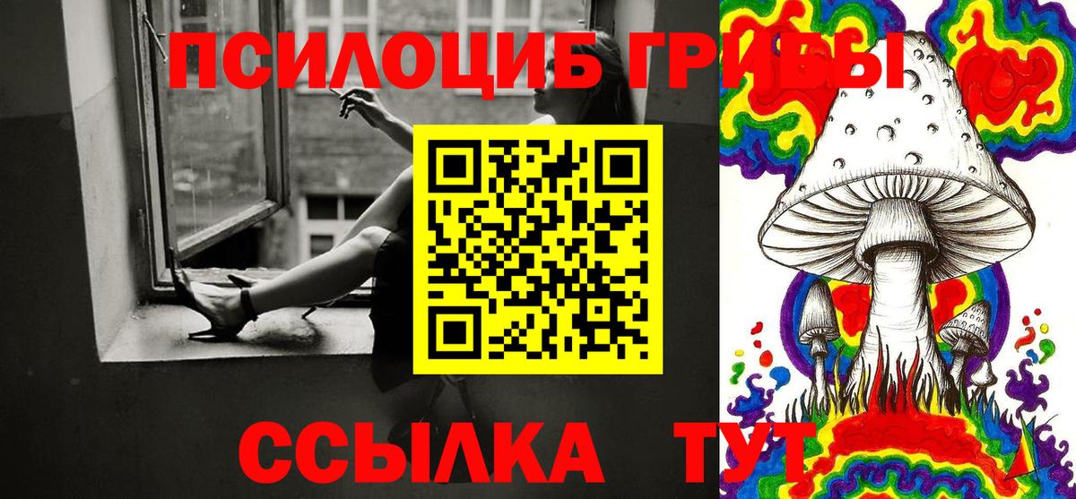 Галлюциногенные грибы Psilocybe  Вход с VPN  Дальнегорск 