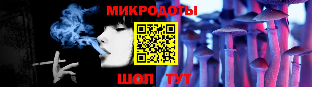 Псилоцибиновые грибы мицелий Дальнегорск